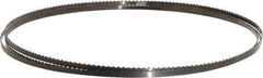 Disston - 6 TPI, 7' 9-1/2" Long x 1/4" Wide x 0.025" Thick, Welded Band Saw Blade - Carbon Steel, Toothed Edge, Raker Tooth Set, Flexible Back, Contour Cutting - USA Tool & Supply