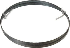 Disston - 10 TPI, 8' Long x 1/2" Wide x 0.025" Thick, Welded Band Saw Blade - Carbon Steel, Toothed Edge, Raker Tooth Set, Flexible Back, Contour Cutting - USA Tool & Supply