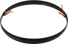 Disston - 10 TPI, 8' 9" Long x 1/2" Wide x 0.025" Thick, Welded Band Saw Blade - Carbon Steel, Toothed Edge, Raker Tooth Set, Flexible Back, Contour Cutting - USA Tool & Supply
