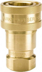 Parker - 1/2 NPTF Brass Hydraulic Hose Female Pipe Thread Coupler - 1,000 psi, 12 GPM - USA Tool & Supply