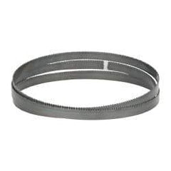 M.K. MORSE - 10 TPI, 5' 4-1/2" Long x 1/2" Wide x 0.025" Thick, Welded Band Saw Blade - High Carbon Steel, Toothed Edge, Raker Tooth Set, Flexible Back, Contour Cutting - USA Tool & Supply