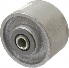 Albion - 3-1/4 Inch Diameter x 2 Inch Wide, Cast Iron Caster Wheel - 700 Lb. Capacity, 2-3/16 Inch Hub Length, 1/2 Inch Axle Diameter, Roller Bearing - USA Tool & Supply
