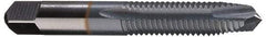 Cleveland - #4-40, 2 Flute, TiCN Finish, High Speed Steel Spiral Point Tap - Plug Chamfer, Right Hand Thread, 0.31" Thread Length, 2B Class of Fit, Series 1011TICN - Exact Industrial Supply