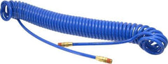 Coilhose Pneumatics - 1/4" ID, 1/4 Thread, 30' Long, Blue Polyurethane Coiled & Self Storing Hose - 125 Max psi, Male Swivel x Male Swivel - USA Tool & Supply