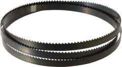 Disston - 6 TPI, 5' 4-1/2" Long x 1/2" Wide x 0.025" Thick, Welded Band Saw Blade - Carbon Steel, Toothed Edge, Raker Tooth Set, Hard Back, Contour Cutting - USA Tool & Supply