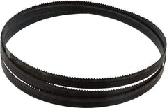 Disston - 10 TPI, 5' 4-1/2" Long x 1/2" Wide x 0.025" Thick, Welded Band Saw Blade - Carbon Steel, Toothed Edge, Raker Tooth Set, Hard Back, Contour Cutting - USA Tool & Supply