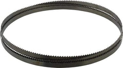 Disston - 6 TPI, 7' 9" Long x 1/2" Wide x 0.025" Thick, Welded Band Saw Blade - Carbon Steel, Toothed Edge, Raker Tooth Set, Hard Back, Contour Cutting - USA Tool & Supply