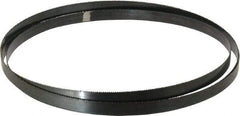Disston - 10 TPI, 10' 10-1/2" Long x 3/4" Wide x 0.032" Thick, Welded Band Saw Blade - Carbon Steel, Toothed Edge, Raker Tooth Set, Hard Back, Contour Cutting - USA Tool & Supply