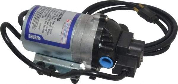 Pentair - 1/10 HP, 3/8 Inlet Size, 3/8 Outlet Size, Demand Switch, Diaphragm Spray Pump - 115 Input Voltage, Polypropylene, 1.40 Max GPM - USA Tool & Supply