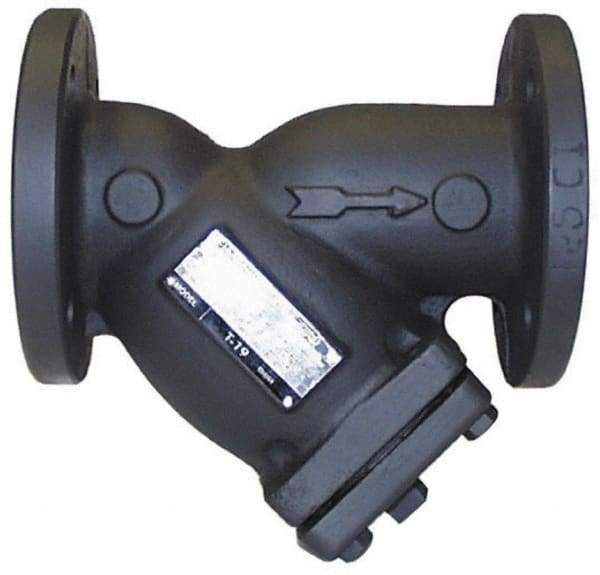 Legend Valve - 2-1/2" Pipe, Flanged Ends, Cast Iron Y-Strainer - 200 psi WOG Rating, 150 psi WSP Rating - USA Tool & Supply