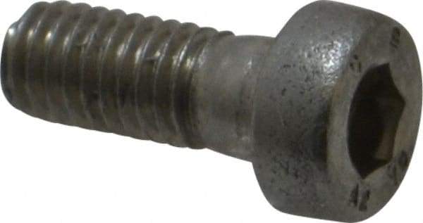 Value Collection - M5x0.80 Metric Coarse Hex Socket Drive, Low Socket Cap Screw - Grade 18-8 & Austenitic A2 Stainless Steel, Uncoated, Fully Threaded, 12mm Length Under Head - USA Tool & Supply