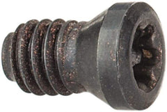 Seco - Torx Plus Lock Screw for Indexables - For Use with Inserts - USA Tool & Supply