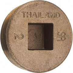 Merit Brass - Class 125, 2" Internal Pipe, Brass Countersunk Plug - MNPT - USA Tool & Supply