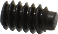 Value Collection - #6-32 UNC, 1/4" OAL, Half Dog Point Set Screw - Grade 8 Alloy Steel, 1/16" Key - USA Tool & Supply