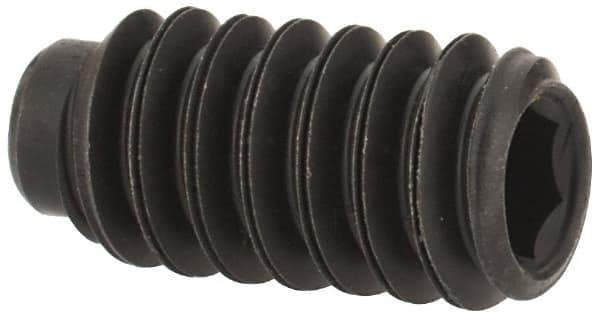 Value Collection - #10-24 UNC, 3/8" OAL, Half Dog Point Set Screw - Grade 8 Alloy Steel, 3/32" Key - USA Tool & Supply
