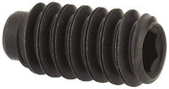 Value Collection - #10-24 UNC, 3/8" OAL, Half Dog Point Set Screw - Grade 8 Alloy Steel, 3/32" Key - USA Tool & Supply