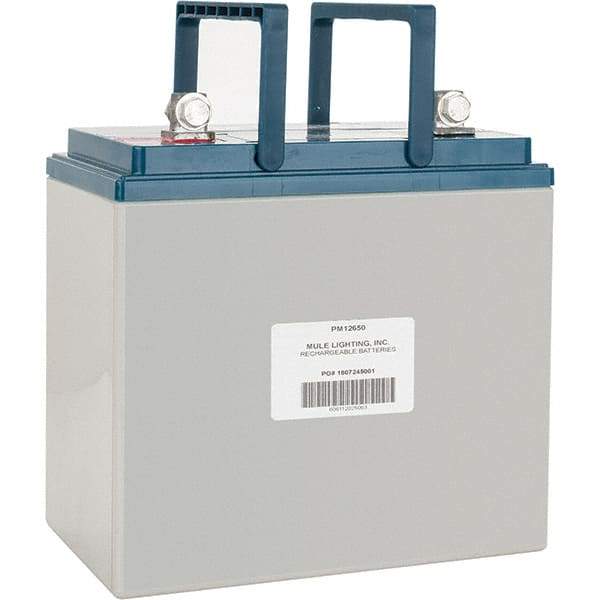 Mule - Lead-Acid, Heavy-Duty L-Type Lead Terminal, 12 Volt, 65 Amp, Lead Rechargeable Battery - 6.67" Wide x 9.68" High x 10.2" Deep - USA Tool & Supply