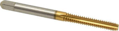 Cleveland - #10-24 UNC 2B/3B 4 Flute TiN Finish High Speed Steel Straight Flute Standard Hand Tap - Bottoming, Right Hand Thread, 2-3/8" OAL, 7/8" Thread Length, H3 Limit, Oversize - Exact Industrial Supply