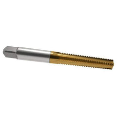 Cleveland - 5/16-18 UNC 3B 4 Flute TiN Finish High Speed Steel Straight Flute Standard Hand Tap - Bottoming, Right Hand Thread, 2-23/32" OAL, 1-1/8" Thread Length, H3 Limit, Oversize - USA Tool & Supply