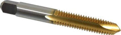 Cleveland - 3/8-16 UNC, 3 Flute, TiN Finish, High Speed Steel Spiral Point Tap - Plug Chamfer, Right Hand Thread, 2-15/16" OAL, 31.75mm Thread Length, 3B Class of Fit, Series 1011TN - Exact Industrial Supply