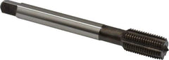 Emuge - 1/2-20 UNF 2BX Modified Bottoming Thread Forming Tap - Cobalt, Nitride Finish, 3.937" OAL, 0.866" Thread Length, Right Hand Thread, Series Rekord Druck-S - USA Tool & Supply