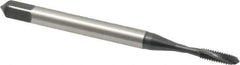 Emuge - #2-56 UNC 2 Flute 2BX Modified Bottoming Spiral Flute Tap - Cobalt, Oxide Finish, 1.772" OAL, Right Hand Flute, Right Hand Thread, Series Rekord D-Ti - USA Tool & Supply