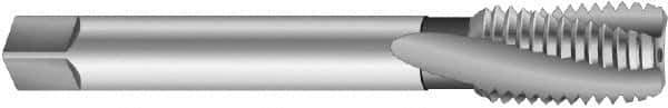Emuge - 1-1/4 - 12 UNF 4 Flute 2BX Modified Bottoming Spiral Flute Tap - Cobalt, Oxide Finish, 5.906" OAL, Right Hand Flute, Right Hand Thread, Series Rekord D-Ti - USA Tool & Supply