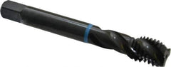 Emuge - 5/8-11 UNC 3 Flute 2B Modified Bottoming Spiral Flute Tap - Cobalt, Oxide Finish, 4.331" OAL, Right Hand Flute, Right Hand Thread, Series Enorm-VA - USA Tool & Supply