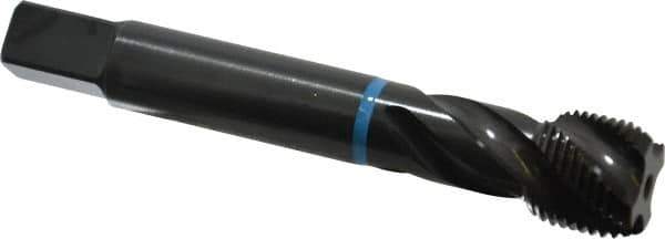 Emuge - 3/4-16 UNF 4 Flute 2B Modified Bottoming Spiral Flute Tap - Cobalt, Oxide Finish, 4.331" OAL, Right Hand Flute, Right Hand Thread, Series Enorm-VA - USA Tool & Supply