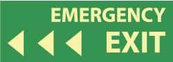 NMC - Emergency Exit, Pressure Sensitive Vinyl Exit Sign - 14" Wide x 5" High, Glow-in-the-Dark - USA Tool & Supply