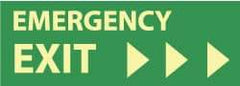 NMC - Emergency Exit, Plastic Exit Sign - 14" Wide x 5" High, Glow-in-the-Dark - USA Tool & Supply