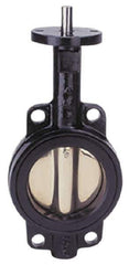 Apollo - 12" Pipe, Lug Butterfly Valve - Bare Stem Handle, Cast Iron Body, Buna-N Seat, 200 WOG, PTFE Disc, Stainless Steel Stem - USA Tool & Supply