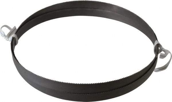 Irwin Blades - 14 TPI, 5' 4-1/2" Long x 1/2" Wide x 0.02" Thick, Welded Band Saw Blade - Bi-Metal, Toothed Edge, Raker Tooth Set - USA Tool & Supply