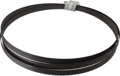 Irwin Blades - 10 TPI, 7' 5" Long x 1/2" Wide x 0.035" Thick, Welded Band Saw Blade - Bi-Metal, Toothed Edge, Raker Tooth Set - USA Tool & Supply