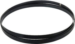 Starrett - 6 TPI, 10' 5" Long x 3/4" Wide x 0.032" Thick, Welded Band Saw Blade - Carbon Steel, Toothed Edge, Raker Tooth Set, Flexible Back, Contour Cutting - USA Tool & Supply