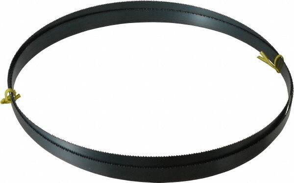 Starrett - 10 TPI, 10' 8" Long x 3/4" Wide x 0.032" Thick, Welded Band Saw Blade - Carbon Steel, Toothed Edge, Raker Tooth Set, Flexible Back, Contour Cutting - USA Tool & Supply
