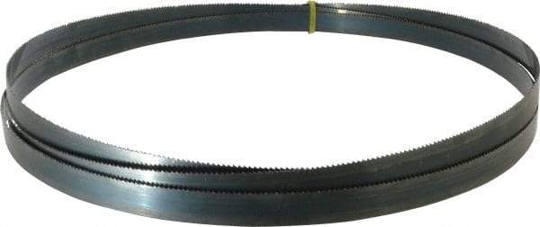 Starrett - 10 TPI, 10' 10-1/2" Long x 3/4" Wide x 0.032" Thick, Welded Band Saw Blade - Carbon Steel, Toothed Edge, Raker Tooth Set, Flexible Back, Contour Cutting - USA Tool & Supply