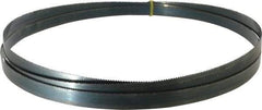 Starrett - 10 TPI, 10' 10-1/2" Long x 3/4" Wide x 0.032" Thick, Welded Band Saw Blade - Carbon Steel, Toothed Edge, Raker Tooth Set, Flexible Back, Contour Cutting - USA Tool & Supply