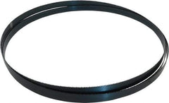 Starrett - 10 TPI, 11' 6" Long x 3/4" Wide x 0.032" Thick, Welded Band Saw Blade - Carbon Steel, Toothed Edge, Raker Tooth Set, Flexible Back, Contour Cutting - USA Tool & Supply