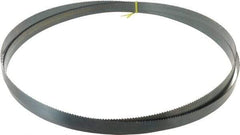 Starrett - 6 TPI, 14' Long x 1" Wide x 0.035" Thick, Welded Band Saw Blade - Carbon Steel, Toothed Edge, Raker Tooth Set, Flexible Back, Contour Cutting - USA Tool & Supply