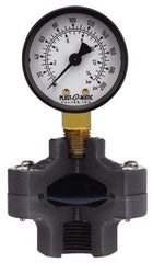 Plast-O-Matic - 30 Max psi, 2 Inch Dial Diameter, PVC Pressure Gauge Guard and Isolator - 3% Accuracy - USA Tool & Supply