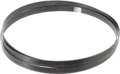 Starrett - 10 TPI, 7' 9" Long x 5/8" Wide x 0.032" Thick, Welded Band Saw Blade - Carbon Steel, Toothed Edge, Raker Tooth Set, Flexible Back, Contour Cutting - USA Tool & Supply