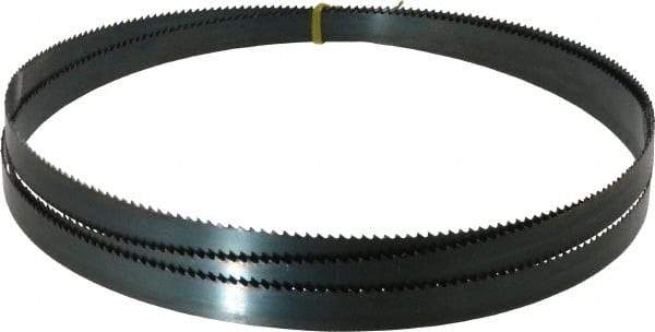 Starrett - 6 TPI, 9' Long x 3/4" Wide x 0.032" Thick, Welded Band Saw Blade - Carbon Steel, Toothed Edge, Raker Tooth Set, Flexible Back, Contour Cutting - USA Tool & Supply