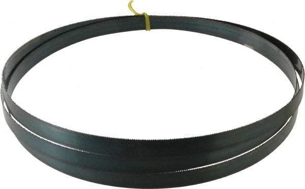 Starrett - 14 TPI, 9' 6" Long x 3/4" Wide x 0.032" Thick, Welded Band Saw Blade - Carbon Steel, Toothed Edge, Raker Tooth Set, Flexible Back, Contour Cutting - USA Tool & Supply