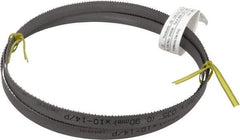Starrett - 10 to 14 TPI, 5' 4-1/2" Long x 1/2" Wide x 0.035" Thick, Welded Band Saw Blade - Bi-Metal, Toothed Edge, Raker Tooth Set, Contour Cutting - USA Tool & Supply