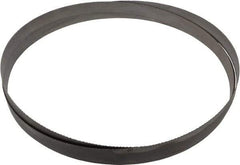 Starrett - 10 to 14 TPI, 12' Long x 1" Wide x 0.035" Thick, Welded Band Saw Blade - Bi-Metal, Toothed Edge, Raker Tooth Set, Contour Cutting - USA Tool & Supply