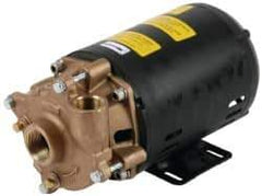 Pentair - 208-230/460 Volt, 3/4 hp, 1-1/4 Inlet, 72 GPM Bronze Utility Pump - 55 Max Head Pressure, 1 Inch Outlet - USA Tool & Supply