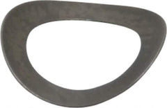 Gardner Spring - #10 Bolt, 0.203" ID, Grade 301 Stainless Steel, Curved Disc Spring - 0.322" OD, 0.053" High, 0.005" Thick - USA Tool & Supply