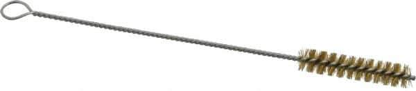 PRO-SOURCE - 2" Long x 7/16" Diam Brass Twisted Wire Bristle Brush - Single Spiral, 8" OAL, 0.006" Wire Diam, 0.11" Shank Diam - USA Tool & Supply