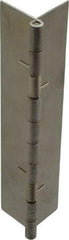 Value Collection - 5" Long x 2" Wide x 0.05" Thick, Spring Hinge - Stainless Steel - USA Tool & Supply